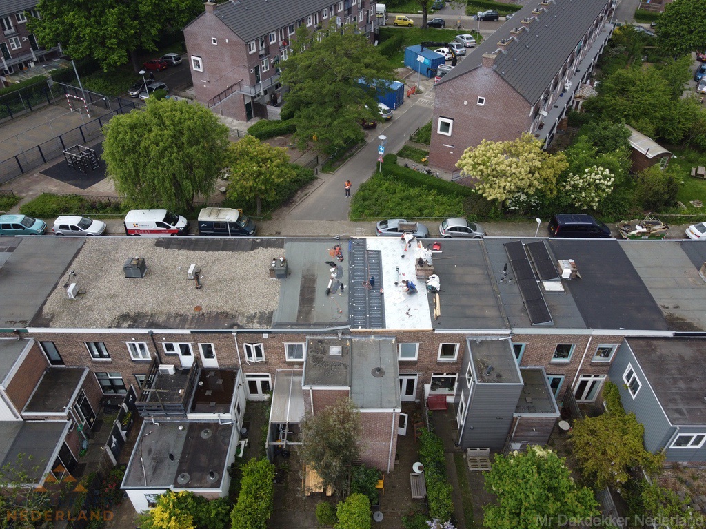 Dakinspectie In Nederland