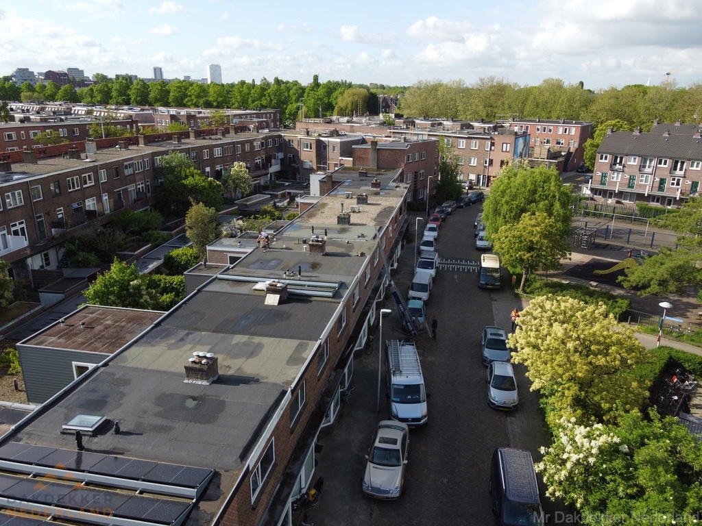 Dakinspectie Nederland