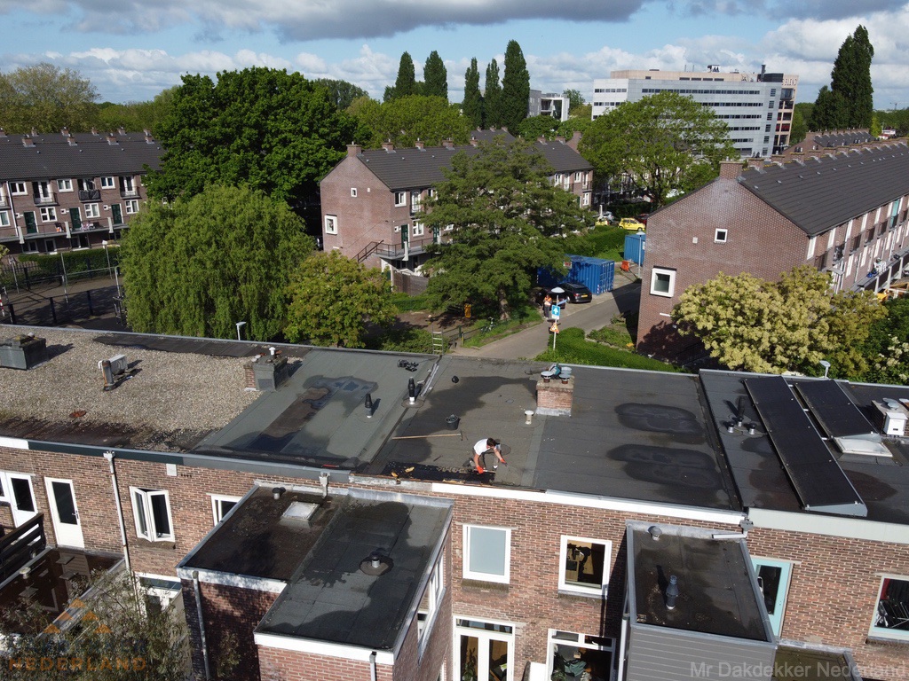 Nederland Daklekkage